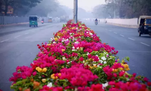 BMC और नाल्को फाउंडेशन ने भुवनेश्वर में इन जगहों पर लैंडस्केपिंग और मीडियन मेंटेनेंस के लिए MoU साइन किया