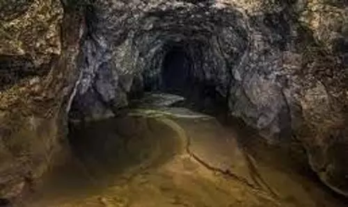Science: वैज्ञानिकों को ऐसे सिग्नल मिले हैं जिन्हें जानकर आपकी रूह कांप जाएगी