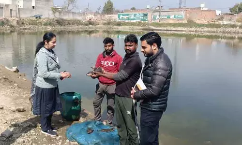 दुबई से लौटे व्यक्ति ने बरनाला में मछली पालन से सफलता पाई दुबई से लौटे व्यक्ति ने बरनाला में मछली पालन से सफलता पाई