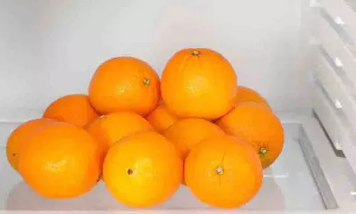 क्या आप संतरे store कर रहे हैं? उन्हें खराब होने से बचाने के लिए यह करें! क्या आप संतरे store कर रहे हैं? उन्हें खराब होने से बचाने के लिए यह करें!