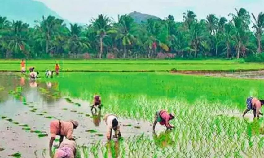 Telangana नेचुरल फार्मिंग में सबसे आगे, फंड में पीछे