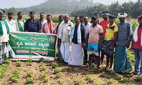 Farmers को तिलहन उत्पादन बढ़ाना चाहिए: सहायक कृषि निदेशक Farmers को तिलहन उत्पादन बढ़ाना चाहिए: सहायक कृषि निदेशक