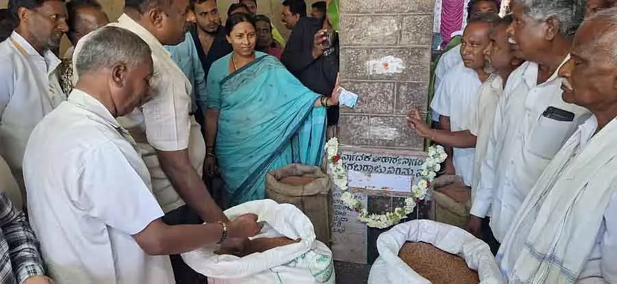 किसानों के पास जाकर बाजरा खरीदें: MLA ने अधिकारियों से कहा किसानों के पास जाकर बाजरा खरीदें: MLA ने अधिकारियों से कहा