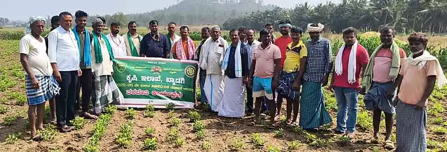 Farmers को तिलहन उत्पादन बढ़ाना चाहिए: सहायक कृषि निदेशक Farmers को तिलहन उत्पादन बढ़ाना चाहिए: सहायक कृषि निदेशक