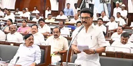 तमिलनाडु अंतरिम बजट से पहले दूसरा आर्थिक सर्वेक्षण पेश होने को तैयार तमिलनाडु अंतरिम बजट से पहले दूसरा आर्थिक सर्वेक्षण पेश होने को तैयार