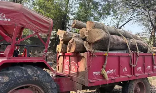 लकड़ी लोड ट्रैक्टर जब्त, वन विभाग ने अवैध परिवहन पर कार्रवाई की
