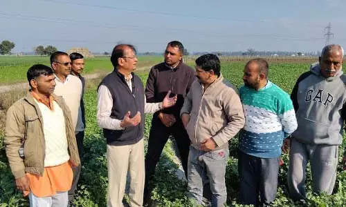 Himachal के प्रगतिशील किसानों को प्राकृतिक खेती के तरीकों की ट्रेनिंग दी गई Himachal के प्रगतिशील किसानों को प्राकृतिक खेती के तरीकों की ट्रेनिंग दी गई