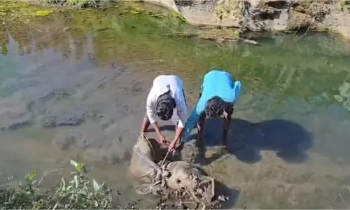Shahdol: अज्ञात महिला का संदिग्ध हालत में नाले में मिला शव Shahdol: अज्ञात महिला का संदिग्ध हालत में नाले में मिला शव