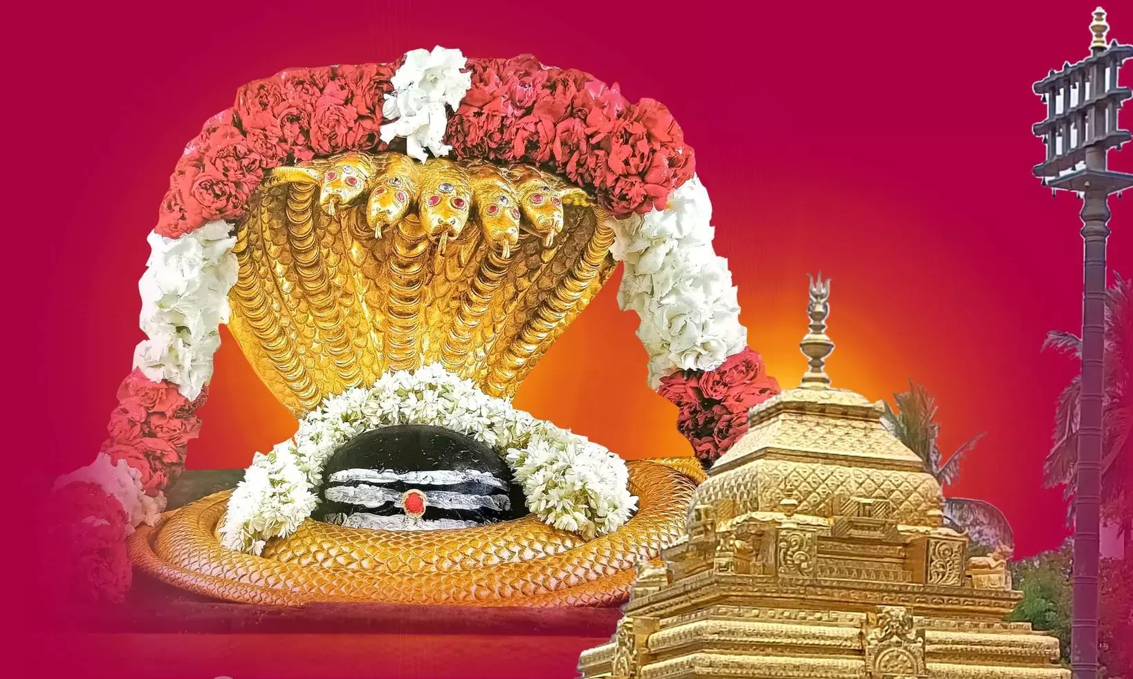 Mahashivaratri के लिए श्रीशैलम में भक्तों की भीड़ उमड़ी  रविवार शाम तक 2.5 लाख लोग पहुंचे