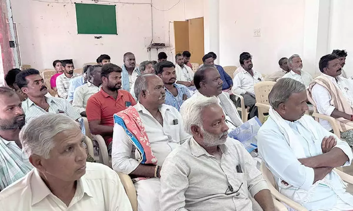 Andhra: फसल विविधीकरण के माध्यम से कृषि उत्पादकता बढ़ाने के लिए पायलट परियोजना