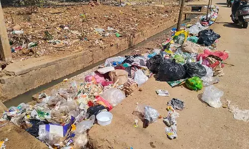 Bommasandra फाइन बोर्ड की परवाह नहीं: सड़क किनारे कचरा