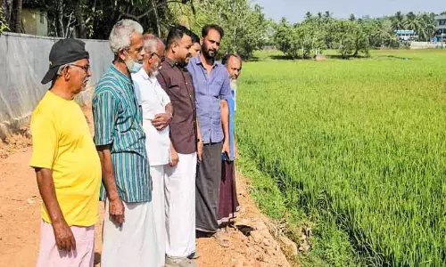 Mundakan में खेती के लिए पानी नहीं है; किसानों के पास पानी का कोई सोर्स नहीं