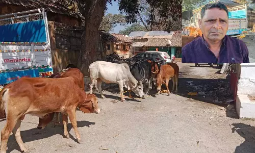 6 गौवंश तस्कर के चंगुल से मुक्त, ऑपरेशन शंखनाद चला रही पुलिस