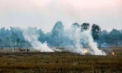 सीएक्यूएम ने 2026 में पराली जलाने से रोकने के लिए राज्यों को जारी किए निर्देश