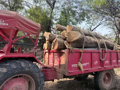 लकड़ी लोड ट्रैक्टर जब्त, वन विभाग ने अवैध परिवहन पर कार्रवाई की लकड़ी लोड ट्रैक्टर जब्त, वन विभाग ने अवैध परिवहन पर कार्रवाई की