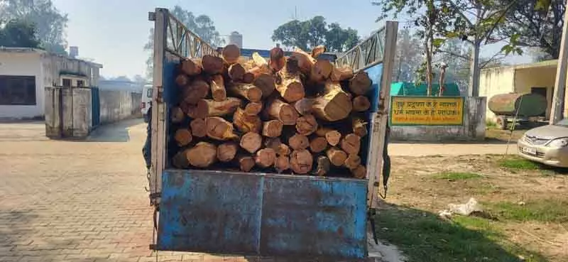 Yamunanagar वन विभाग की टीम ने 20 किलोमीटर तक पीछा करने के बाद खैर के 99 लट्ठे जब्त किए Yamunanagar वन विभाग की टीम ने 20 किलोमीटर तक पीछा करने के बाद खैर के 99 लट्ठे जब्त किए