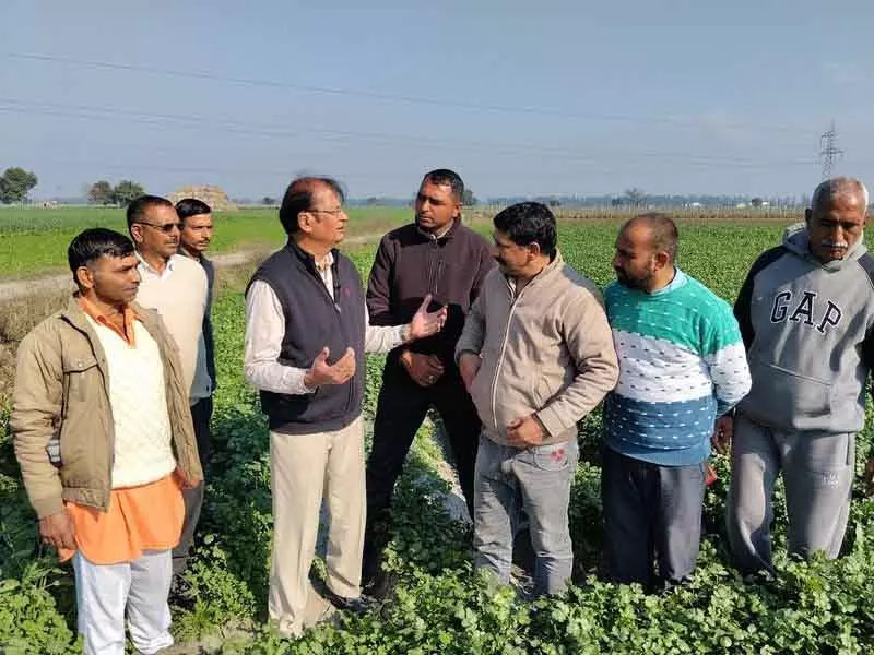 Himachal के प्रगतिशील किसानों को प्राकृतिक खेती के तरीकों की ट्रेनिंग दी गई Himachal के प्रगतिशील किसानों को प्राकृतिक खेती के तरीकों की ट्रेनिंग दी गई