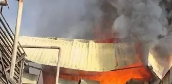 Sambalpur के कोल्ड स्टोरेज में आग लगने से करोड़ों का सामान जलकर खाक हो गया Sambalpur के कोल्ड स्टोरेज में आग लगने से करोड़ों का सामान जलकर खाक हो गया