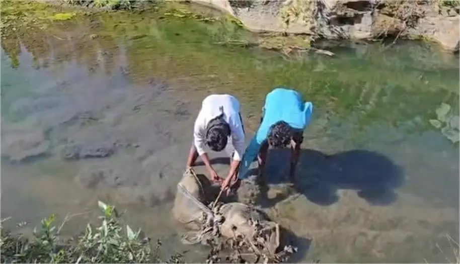 Shahdol: अज्ञात महिला का संदिग्ध हालत में नाले में मिला शव Shahdol: अज्ञात महिला का संदिग्ध हालत में नाले में मिला शव