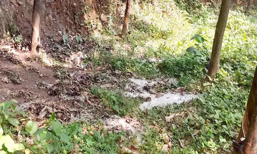 Kerala : असामाजिक तत्वों ने रिहायशी इलाके में टॉयलेट का कचरा फेंका Kerala : असामाजिक तत्वों ने रिहायशी इलाके में टॉयलेट का कचरा फेंका