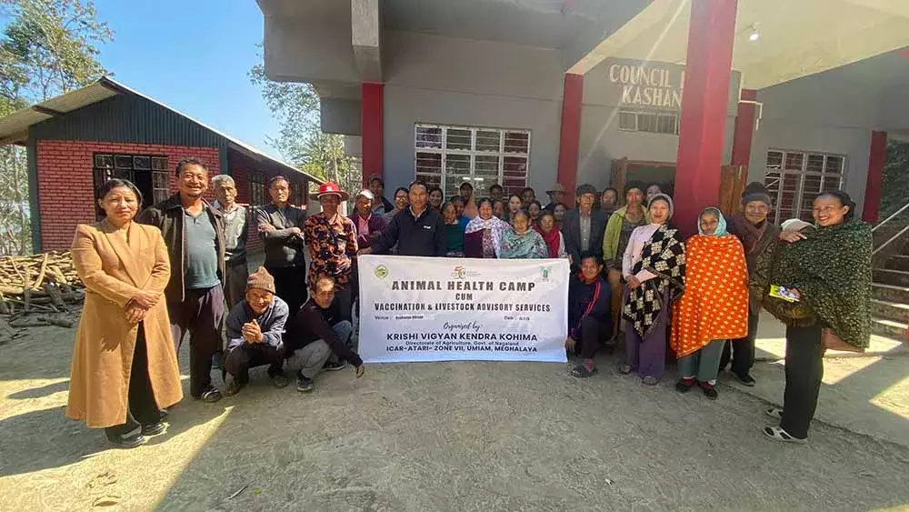 Nagaland : KVK कोहिमा ने काशान्यू गांव में पशु स्वास्थ्य शिविर लगाया Nagaland : KVK कोहिमा ने काशान्यू गांव में पशु स्वास्थ्य शिविर लगाया