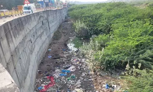 Tamil Nadu : क्या वैगई में कचरा फेंकने से रोका जाएगा? Tamil Nadu : क्या वैगई में कचरा फेंकने से रोका जाएगा?