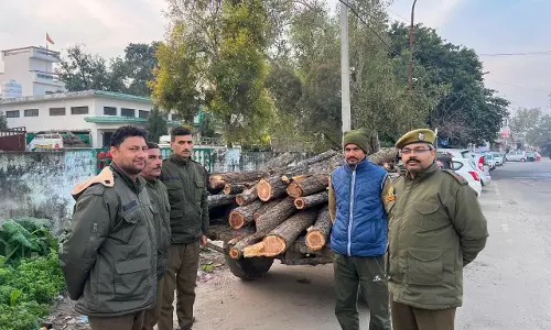 Jammu Kashmir: खैर माफिया के खिलाफ Action,Raid से मचा हड़कंप
