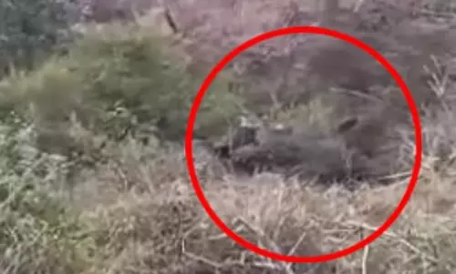 ट्रैक्टर 60 फीट खाई में समाया, ड्राइवर की मौत