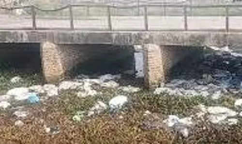 Punjab : कुष्ठ आश्रम के पास संदिग्ध मांस के थैलों की बरामदगी Punjab : कुष्ठ आश्रम के पास संदिग्ध मांस के थैलों की बरामदगी