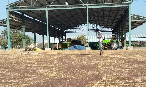Haryana : तिलहन की आवक शुरू अंबाला के किसानों को अच्छे मौसम की उम्मीद Haryana : तिलहन की आवक शुरू अंबाला के किसानों को अच्छे मौसम की उम्मीद
