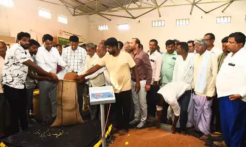जिले में बाजरे की खरीद 31 मार्च तक: Dr. M.C. Sudhakar