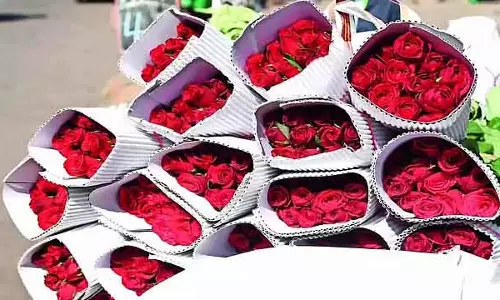 Valentines Day 2026: इस बार Valentines Day के लिए बेंगलुरु से 6 करोड़ गुलाब एक्सपोर्ट किए जाएंगे Valentines Day 2026: इस बार Valentines Day के लिए बेंगलुरु से 6 करोड़ गुलाब एक्सपोर्ट किए जाएंगे