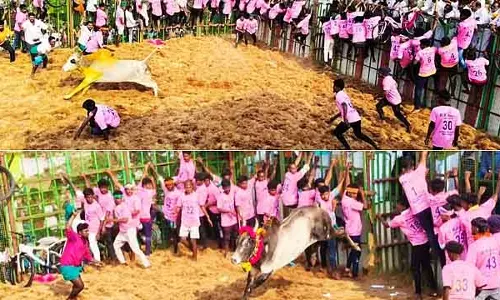Tamil Nadu: पोन्नामारवती के पास शिवरात्रि के मौके पर जल्लीकट्टू कॉम्पिटिशन Tamil Nadu: पोन्नामारवती के पास शिवरात्रि के मौके पर जल्लीकट्टू कॉम्पिटिशन