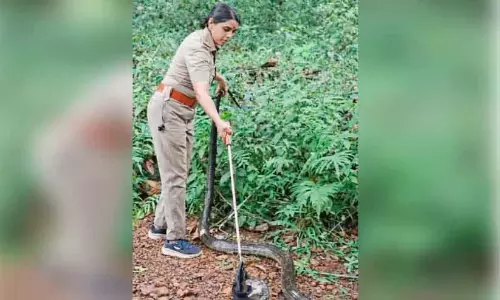 Kerala : साँप प्रेमियों के लिए स्त्री शक्ति पुरस्कार Kerala : साँप प्रेमियों के लिए स्त्री शक्ति पुरस्कार
