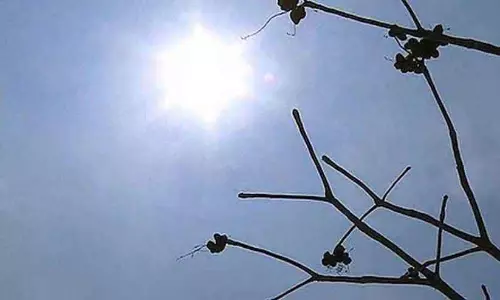 Kerala : गर्मी और बिजली कटौती,लोग पसीने से तरबतर Kerala : गर्मी और बिजली कटौती,लोग पसीने से तरबतर