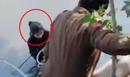 रील का जुनून, संतुलन में कन्फूज़न, फिर नाले में एंट्री, देखें VIDEO...