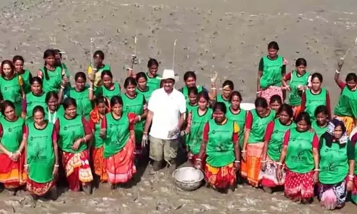 Santosh Kumar की टीम ने सुंदरबन में 20,000 मैंग्रोव पौधे लगाए Santosh Kumar की टीम ने सुंदरबन में 20,000 मैंग्रोव पौधे लगाए