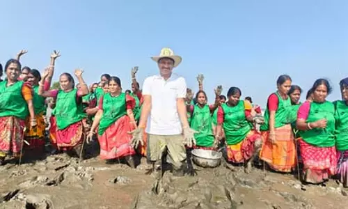 72 साल के KCR को ग्रीन सैल्यूट, सुंदरबन के जंगलों में 10,000 पौधों को मिला नया जीवन
