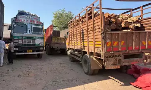 खैर लकड़ी तस्करी का भंडाफोड़: लाखों रुपए की अवैध लकड़ी जब्त, दो आरोपी गिरफ्तार खैर लकड़ी तस्करी का भंडाफोड़: लाखों रुपए की अवैध लकड़ी जब्त, दो आरोपी गिरफ्तार