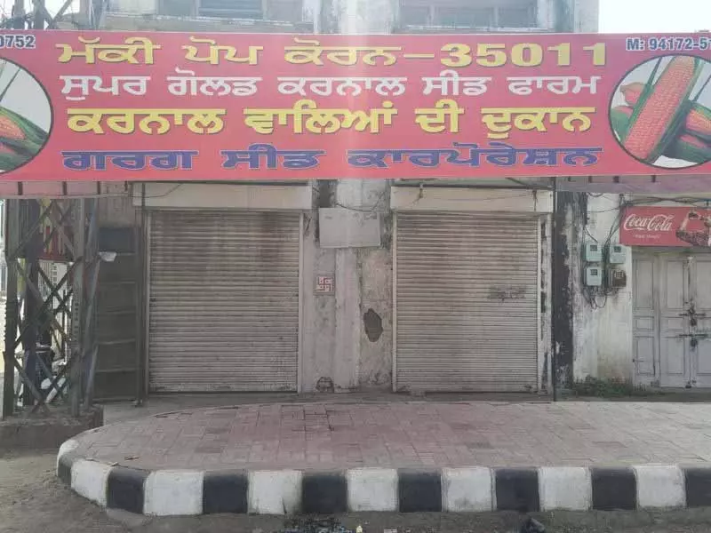 Ludhiana में बीज और कीटनाशकों की दुकानें विरोध में बंद रहीं Ludhiana में बीज और कीटनाशकों की दुकानें विरोध में बंद रहीं