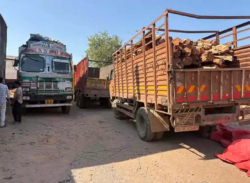 खैर लकड़ी तस्करी का भंडाफोड़: लाखों रुपए की अवैध लकड़ी जब्त, दो आरोपी गिरफ्तार खैर लकड़ी तस्करी का भंडाफोड़: लाखों रुपए की अवैध लकड़ी जब्त, दो आरोपी गिरफ्तार