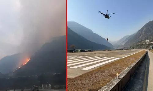 अरुणाचल प्रदेश और नागालैंड में जंगल की आग बुझाने के लिए युद्धस्तर पर काम, सेना और वायुसेना ऑपरेशन में जुटीं