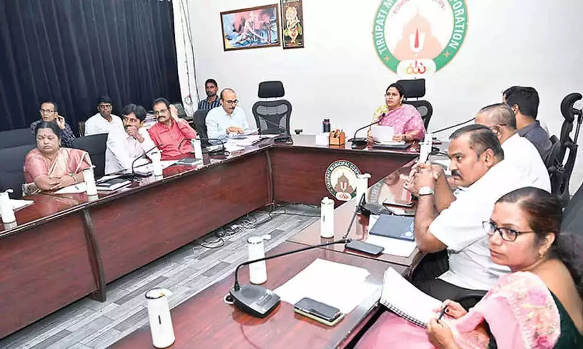 Andhra: अधिकारियों को परिवार सर्वेक्षण में तेज़ी लाने के लिए कहा गया Andhra: अधिकारियों को परिवार सर्वेक्षण में तेज़ी लाने के लिए कहा गया