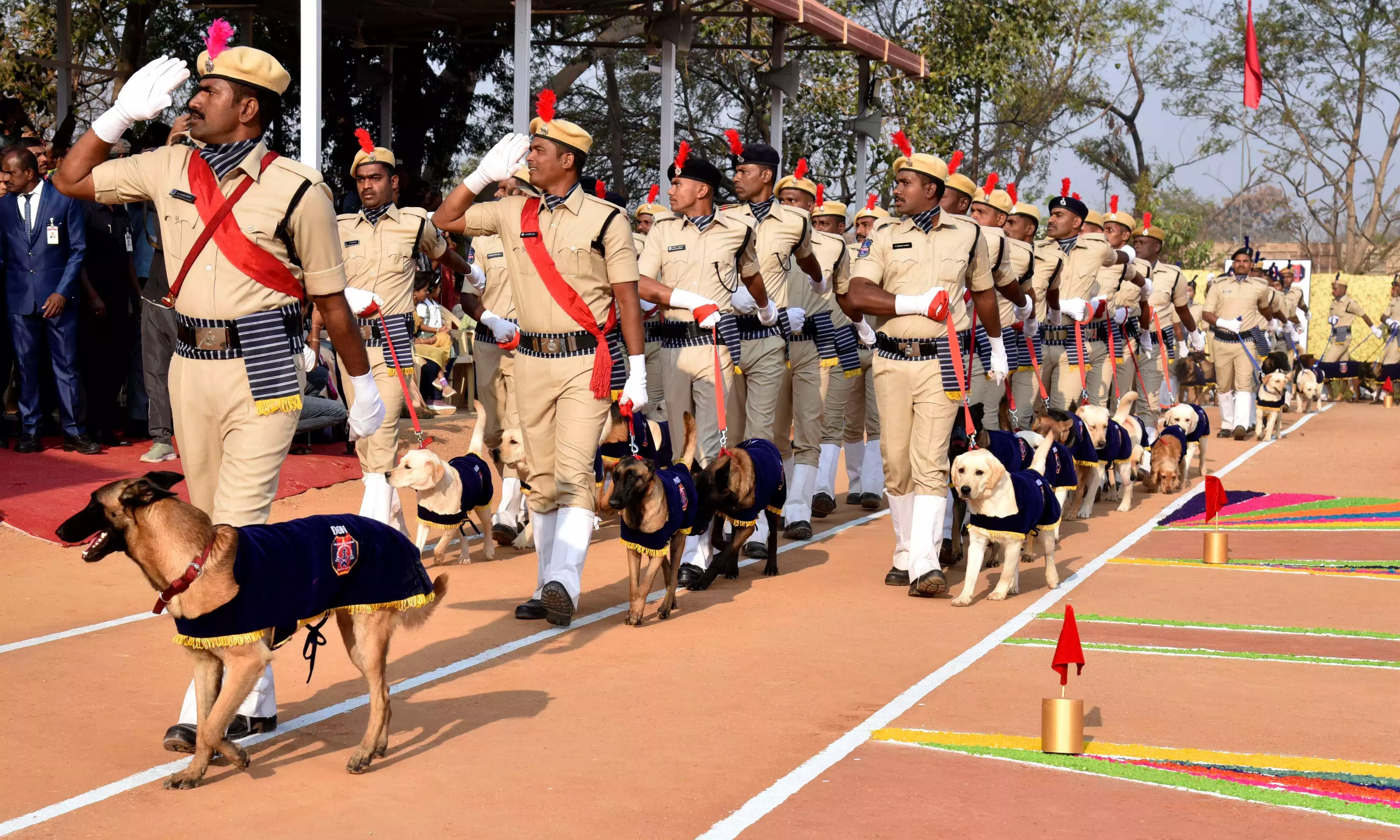 IITA मोइनाबाद ने रिकॉर्ड 76 पुलिस कुत्तों को ट्रेनिंग दी IITA मोइनाबाद ने रिकॉर्ड 76 पुलिस कुत्तों को ट्रेनिंग दी
