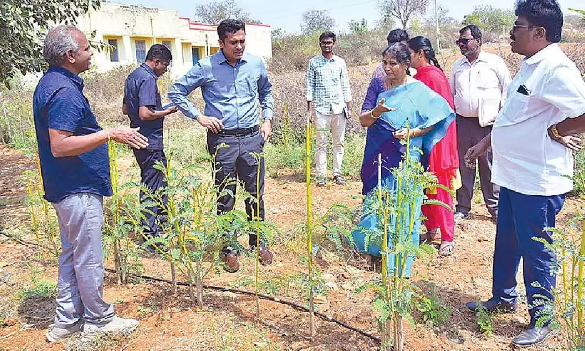 Andhra: कलेक्टर ने पेनुकोंडा भेड़ फार्म का दौरा किया