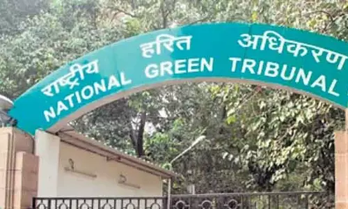 Delhi में जल निकायों के जीर्णोद्धार के लिए कार्य योजना तैयार करें: NGT Delhi में जल निकायों के जीर्णोद्धार के लिए कार्य योजना तैयार करें: NGT
