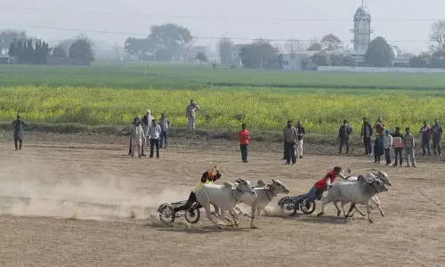 Kila Raipur Olympics: पुरखों की विरासत को आगे बढ़ाने के लिए बैलगाड़ी दौड़ में जुटे युवा Kila Raipur Olympics: पुरखों की विरासत को आगे बढ़ाने के लिए बैलगाड़ी दौड़ में जुटे युवा