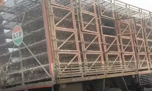 Bhubaneswar: ऐगानिया में सड़क दुर्घटना में 3 हजार बत्तखों की मौत Bhubaneswar: ऐगानिया में सड़क दुर्घटना में 3 हजार बत्तखों की मौत
