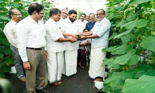 सहकारिता विभाग के नेतृत्व में धान की खरीद शुरू हो गई है : Minister P. Prasad सहकारिता विभाग के नेतृत्व में धान की खरीद शुरू हो गई है : Minister P. Prasad