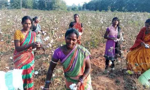 घोषणा के छह महीने बाद भी बोलंगीर के लिए टेक्सटाइल पार्क अधर में